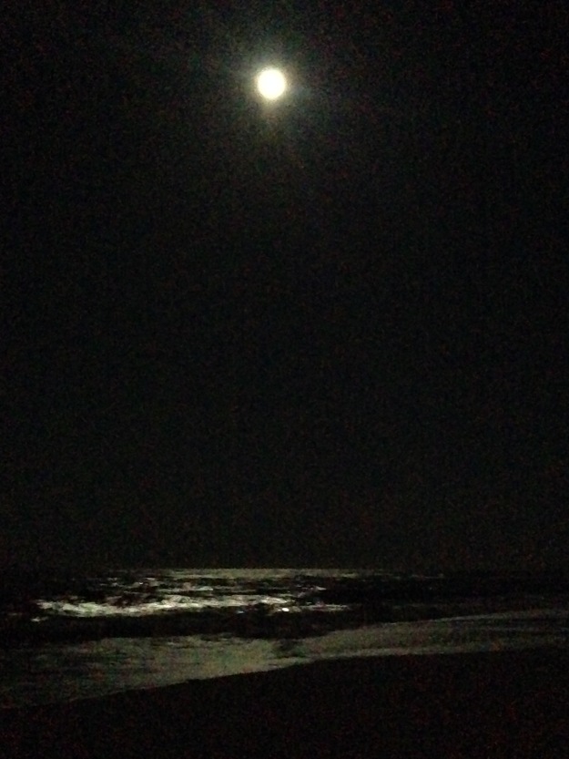 Moonlight over Cape Hatteras National Seashore